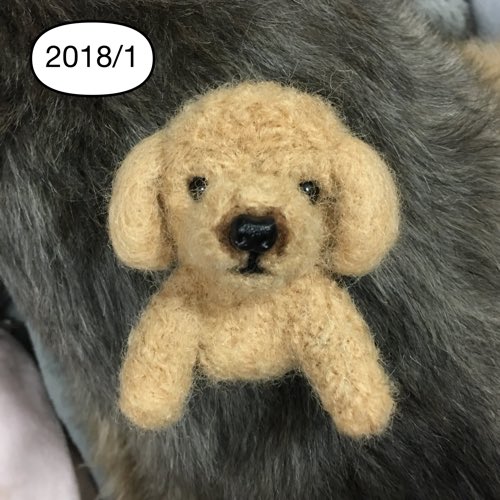 大源マム 羊毛フェルト犬 独学でここまで成長したからお前も頑張れ 全部同じ子がモデルです 羊毛 始めた時に少しだけ教室に通ったから厳密には独学ではないかも でも習った方法が合わなくて作り方自己流だし 植毛とかは習わなかったので独学です 羊毛