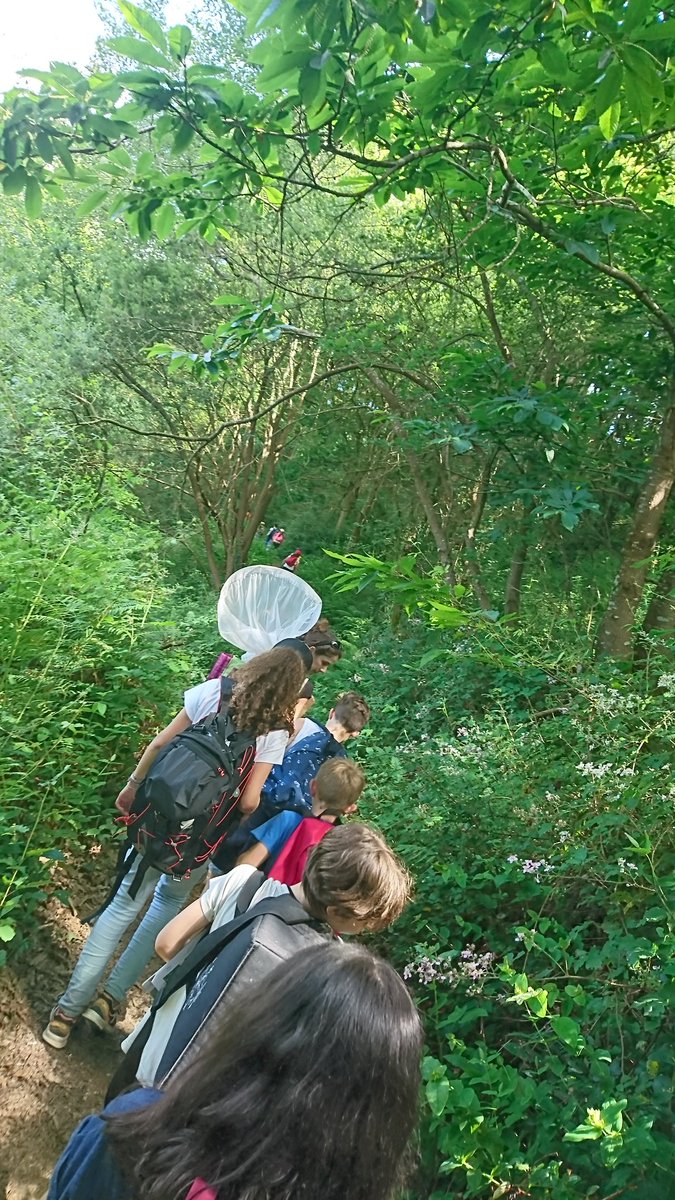StJosephBonloc's tweet photo. 5/ Après un chouette pique-nique dans une clairière bordée de la petite rivière du village (la "joyeuse"), nous avons fait une course de bateaux "végétaux" avant de poursuivre notre excursion et nos observations. Merci Laurence du CPIE Pays Basque pour toutes ces découvertes 👌 https://t.co/DNiMytdfgs