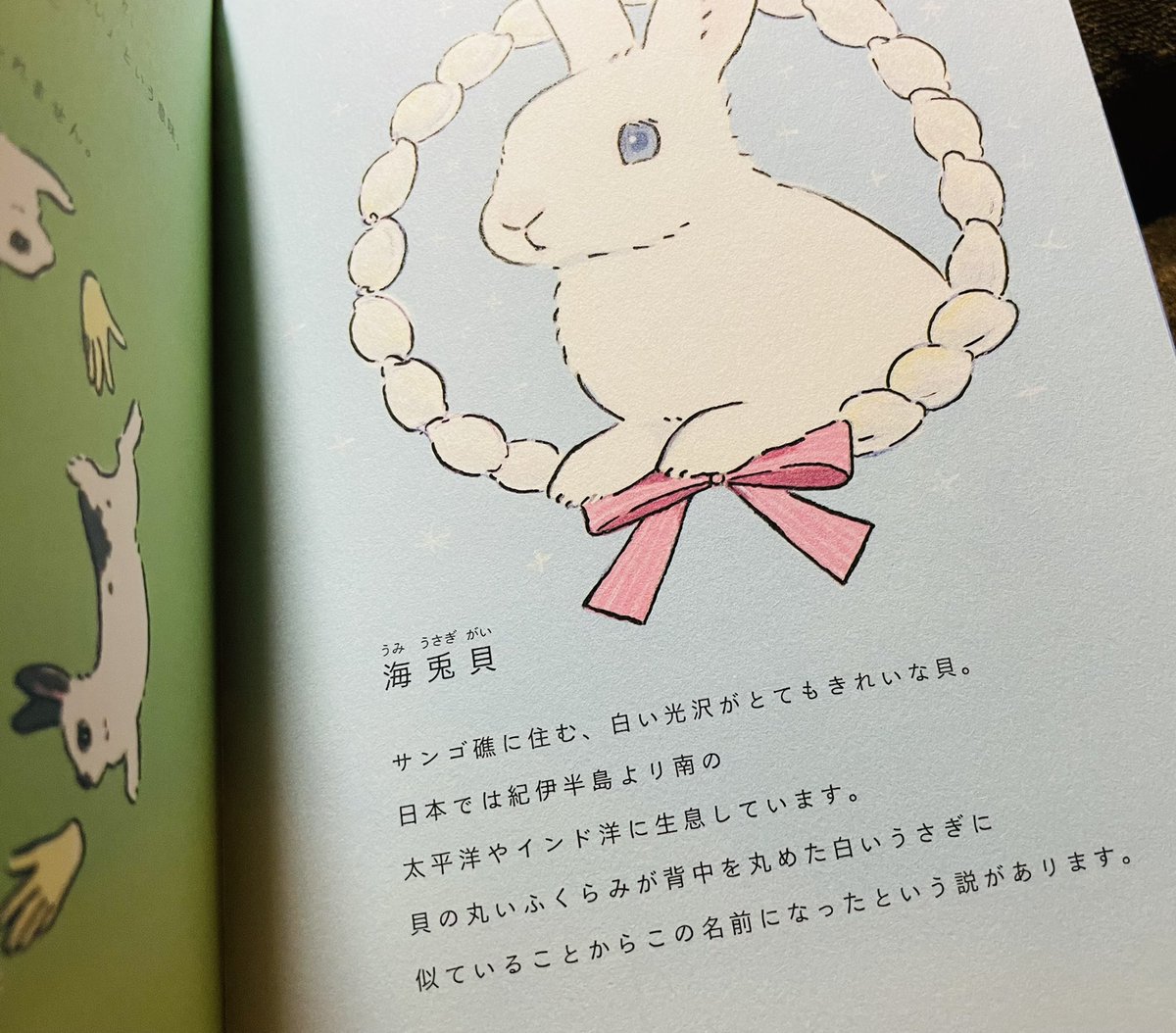 60周年 グラフィック社 編集部 最初の当選者は 5b Rabbilove さん すやすや眠るうさぎさん ねむねむこうさぎ にそっくりですね 寝息が聞こえてきそう T Co Mxbdln3wnz グラフィック社 ブロンズ新社 森山標子さんうさぎ似顔絵 60周年 グラフィック社 編集部 最初の当選者は 5b Rabbilove さん すやすや眠るうさぎさん ねむねむこうさぎ にそっくりですね 寝息が聞こえてきそう T Co Mxbdln3wnz グラフィック社 ブロンズ新社 森山標子さんうさぎ似顔絵