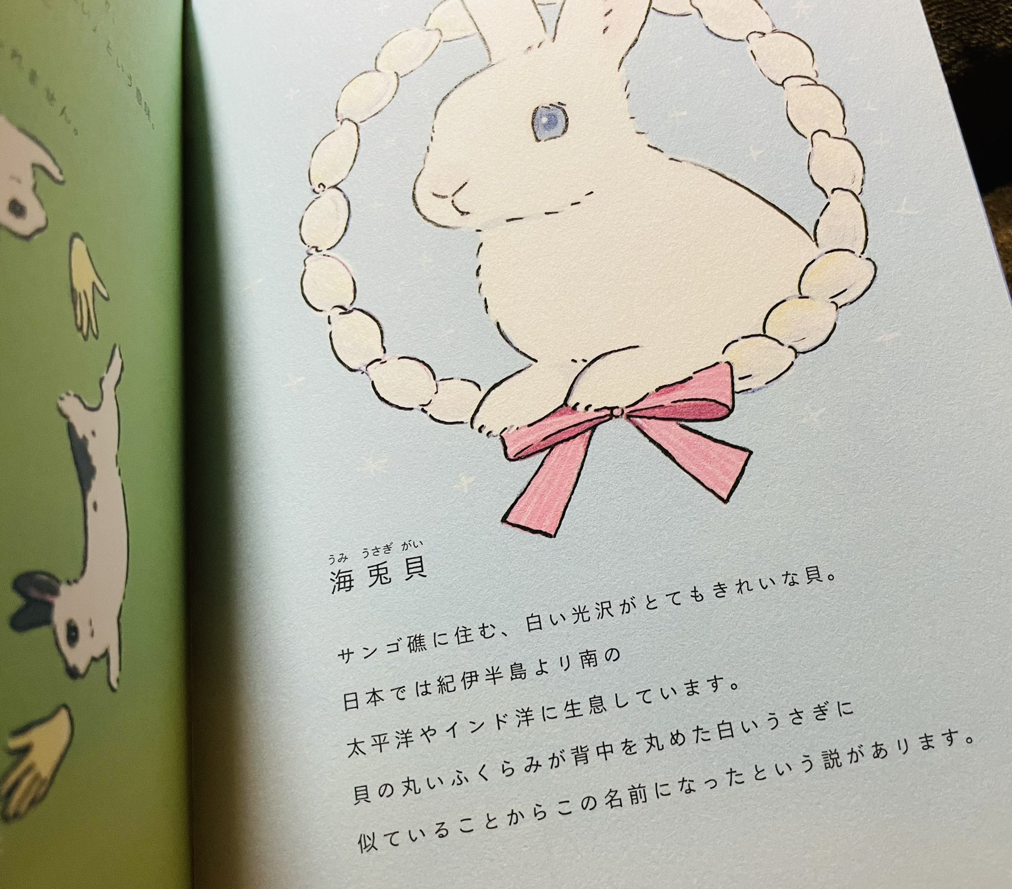 グラフィック社 編集部 国際部 Gentle Schinako Bronzeshinsha うさぎ祭り 抽選結果発表 本日の当選は Ubigaczweeginmf さん うさことば辞典 にアゴをスリスリ 通称アゴスリのしぐさがたまらない T Co 0rwtday5uf