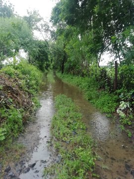 rambabu_ck's tweet photo. जन सहयोग से ग्राम बोरखेड़ी(कानड़, आगर मालवा) में खेत पर जाने के रास्ते का काम चालू हो गया है,जनप्रतिनिधियों से सहयोग की आशाएं...🙏
@OfficeofSSC 
@MahendraForBJP 
@VipinWankhede_ 
@minprdd https://t.co/8ZhJfudyyo