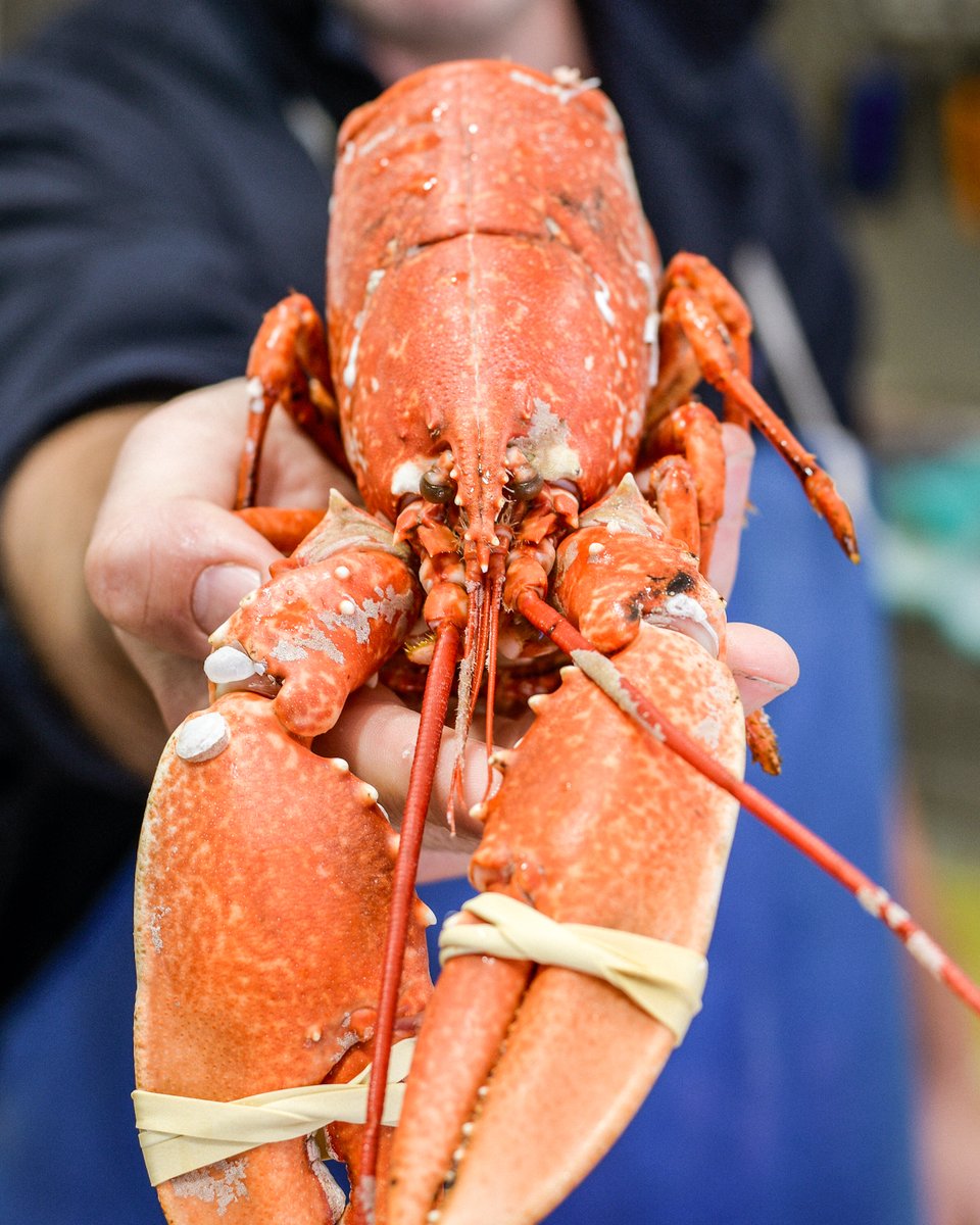 Sankey's Fishmongers tweet media