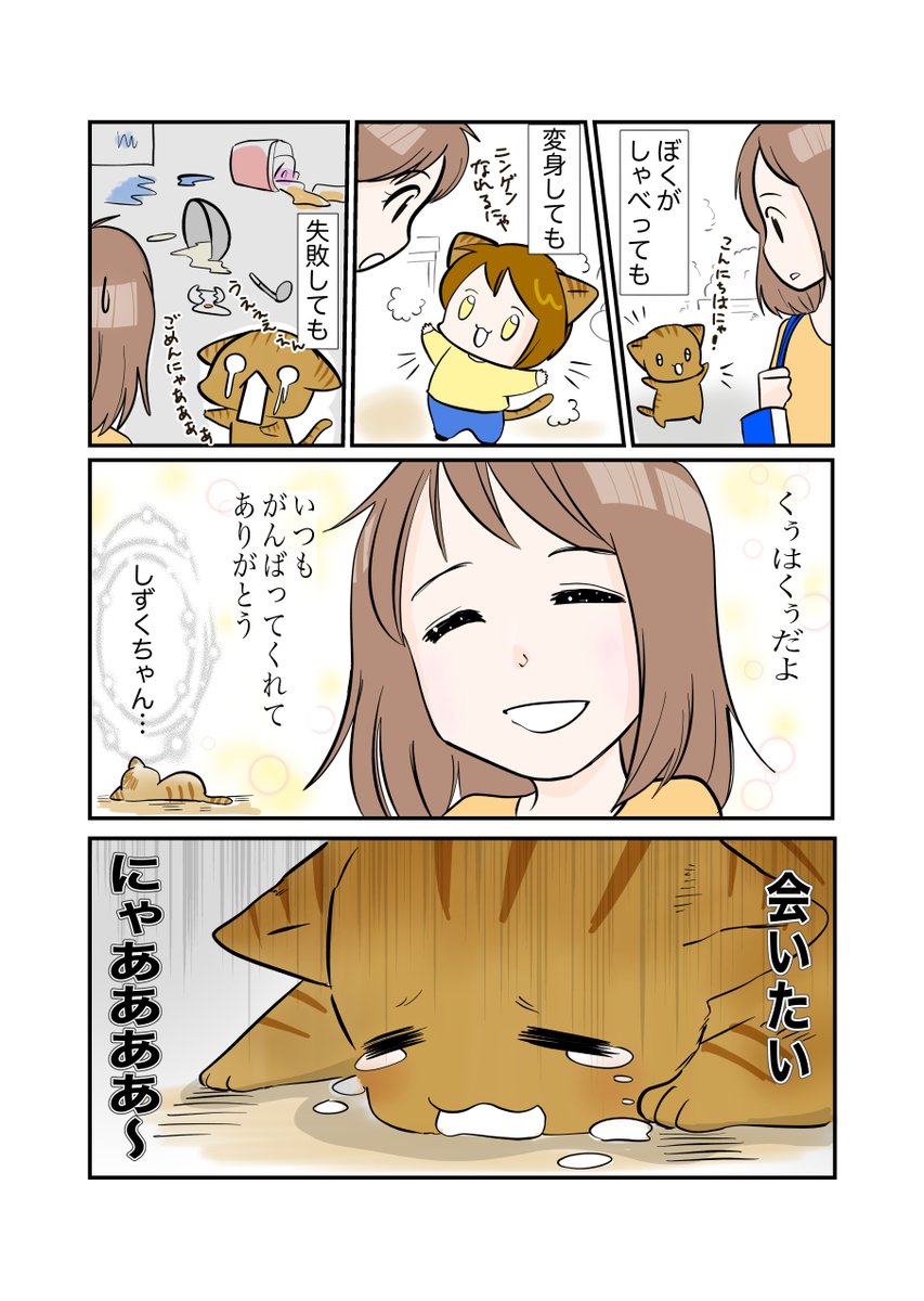 #スパダリにゃんこ 
#くぅの日常 第80話 
くぅとお兄さん

元スーパーダーリンにゃんこのくぅと飼い主のお兄さんの日常マンガ。

スパダリをやめ、シオ兄貴の紹介でタカさんのもとで暮らすくぅは…。

#創作マンガ #マンガが読めるハッシュタグ 