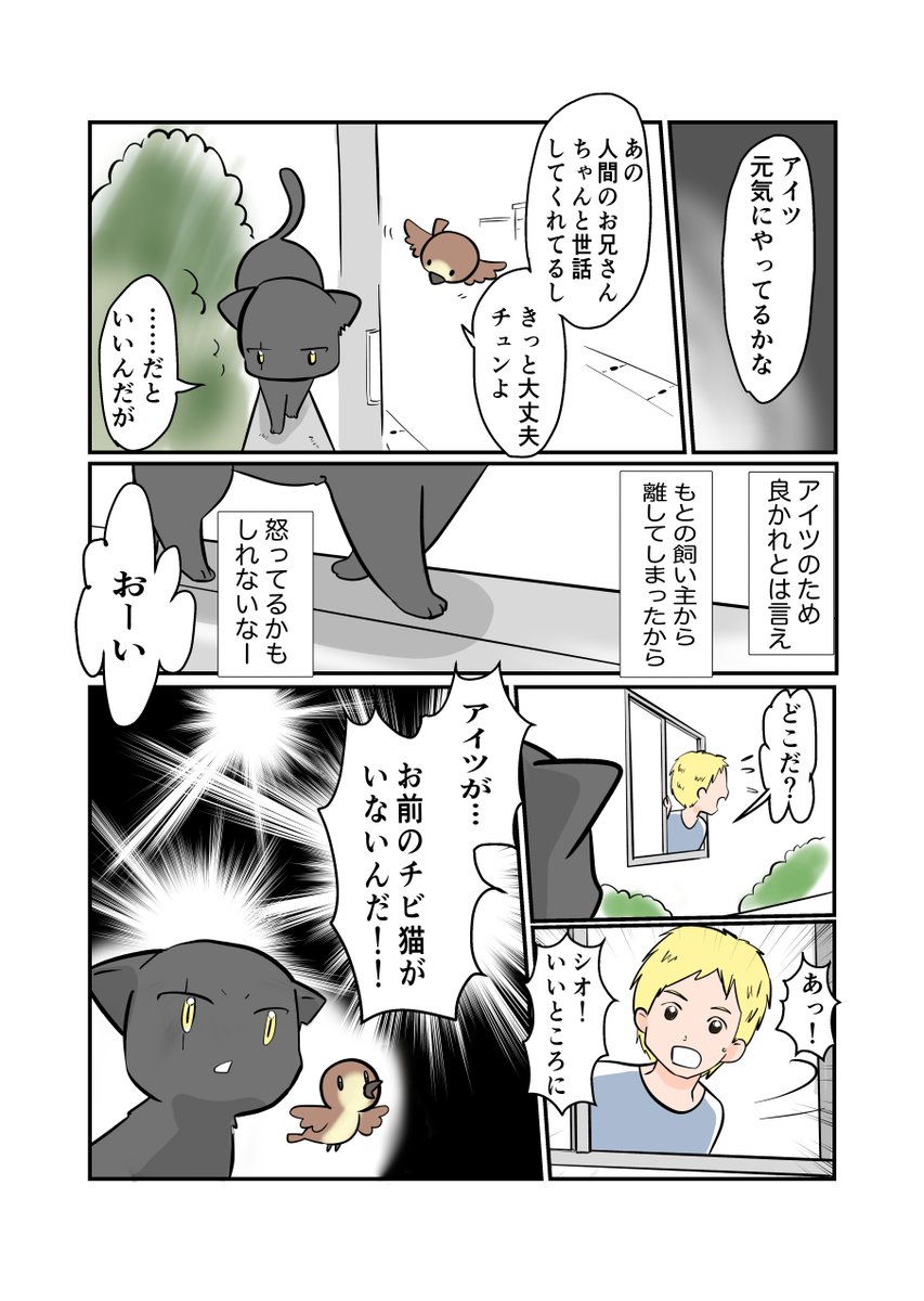 #スパダリにゃんこ 
#くぅの日常 第80話 
くぅとお兄さん

元スーパーダーリンにゃんこのくぅと飼い主のお兄さんの日常マンガ。

スパダリをやめ、シオ兄貴の紹介でタカさんのもとで暮らすくぅは…。

#創作マンガ #マンガが読めるハッシュタグ 