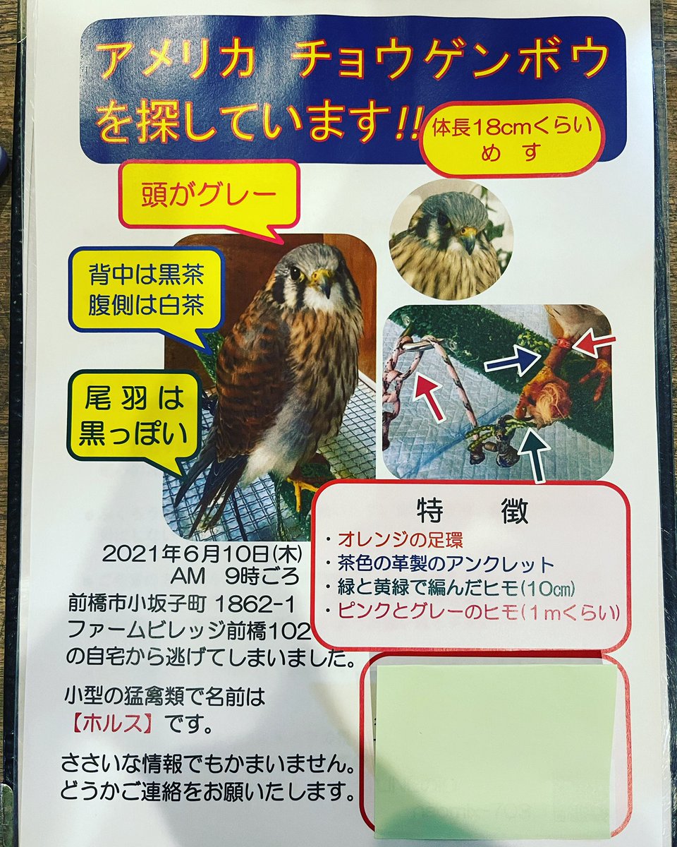 夜霧 夜霧