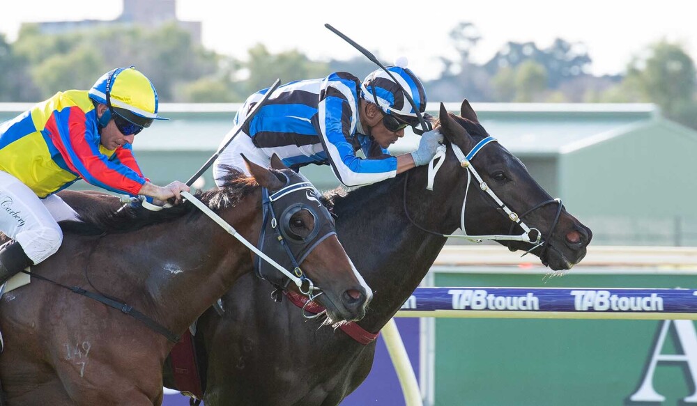 PerthRacing's tweet photo. Nerodio (Laqdar Ramoly) Won R6 Byron Bay Premium Lager Handicap at Belmont Park on Sat 12 June. 📸 @WesternRacepix https://t.co/UBARcEvJ6m