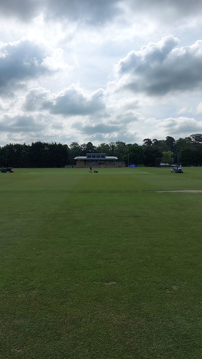 Trinity Cricket tweet media