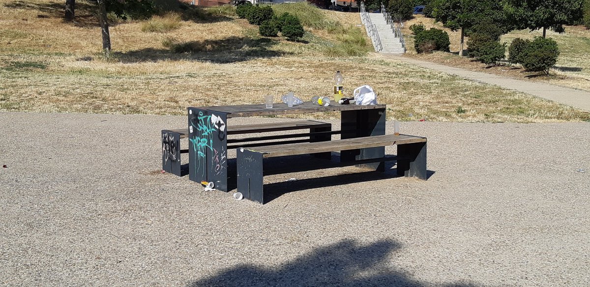 Hola, <a href="/Aj_Sabadell/">Ajuntament Sabadell</a> menuda fiesta se han pegado esta noche en el #ParcNord de #Sabadell eso si... la mierda sigue ahí