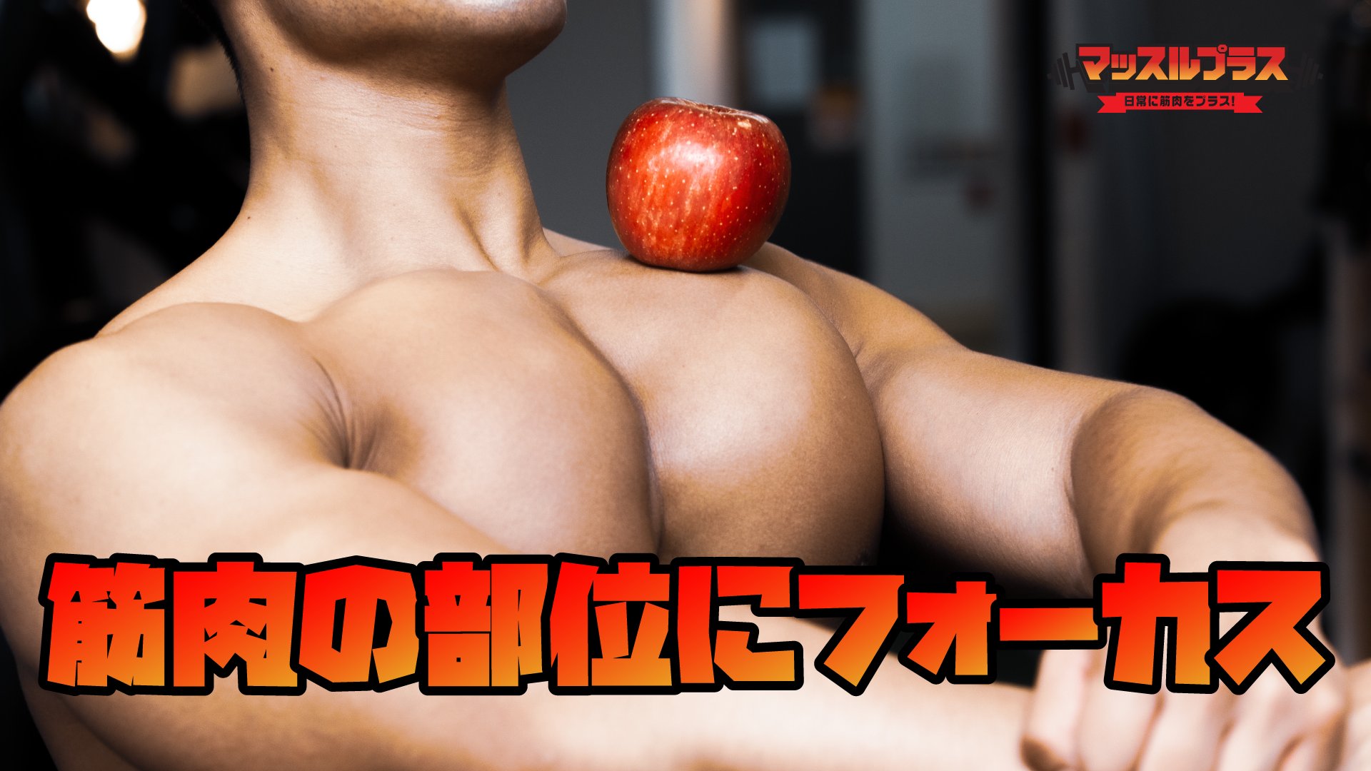 Akihito 筋肉紳士集団allout 新作マッチョフリー素材 筋肉の部位にフォーカス これまでとは一風違い 筋トレや日常動作での各部位にフォーカスした素材らしい素材です 新作はこちら T Co Qe0rtw4rrn Photo By Kondo Orange マッスル