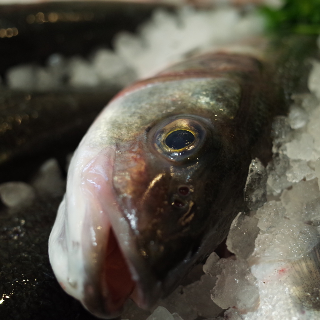 Super Fresh Saturday