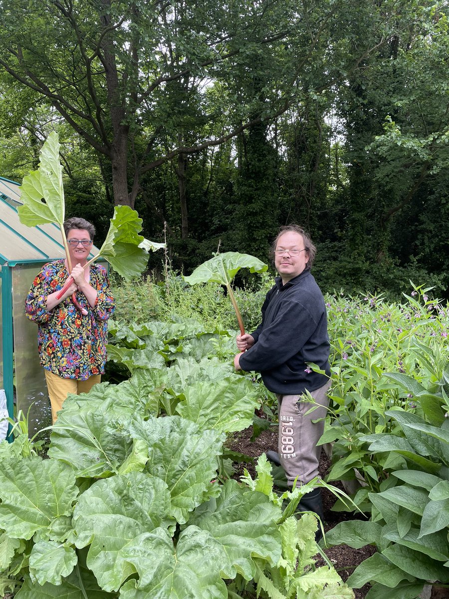 mfgwp's tweet photo. These two ‘erberts pulled the rhubarb & Will will get to eat it when @thebevy Friday Friends turn it into crumble & deliver it as part of their twice weekly cake run. Now that’s a food partnership we can get our teeth into! (They also delivered our lettuces yesterday) https://t.co/vViywKARgp