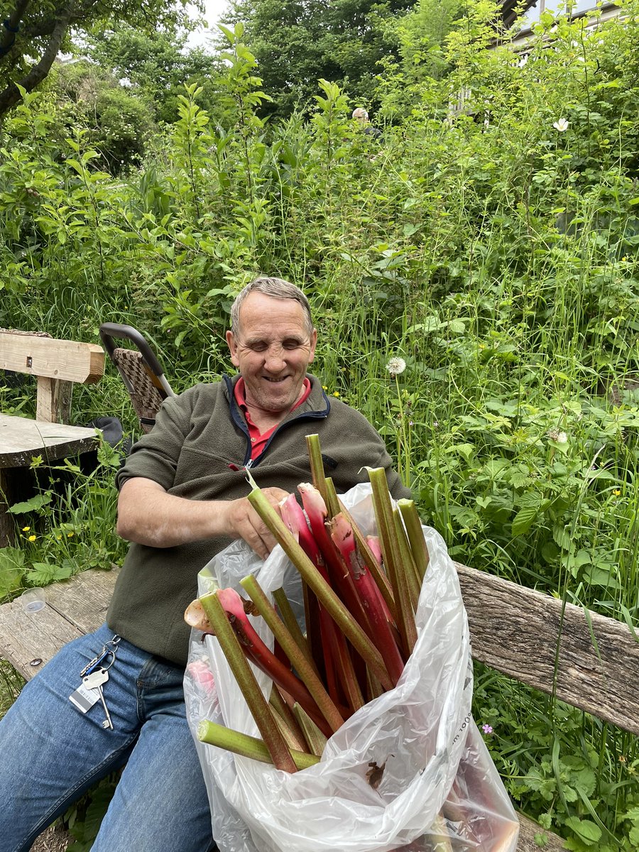 mfgwp's tweet photo. These two ‘erberts pulled the rhubarb & Will will get to eat it when @thebevy Friday Friends turn it into crumble & deliver it as part of their twice weekly cake run. Now that’s a food partnership we can get our teeth into! (They also delivered our lettuces yesterday) https://t.co/vViywKARgp