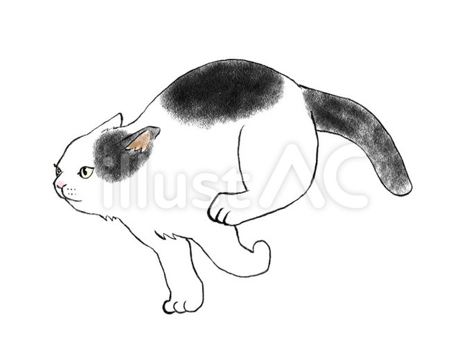 猫好きさんと繋がりたのtwitterイラスト検索結果