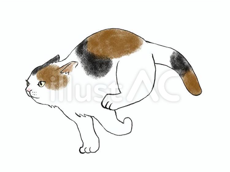 みきたにし イラストレーター No Twitter めっちゃ走っている猫を描きました 何をしていても猫はかわいい 猫好きさんと繋がりたい フリー素材みきたにし イラスト好きと繋がりたい イラストレーター イラストacで無料dl Urlからサバトラに飛びます ねこ みきたにし イラストレーター No Twitter めっちゃ走っている猫を描きました 何をしていても猫はかわいい 猫好きさんと繋がりたい フリー素材みきたにし イラスト好きと繋がりたい イラストレーター イラストacで無料dl Urlからサバトラに飛びます ねこ