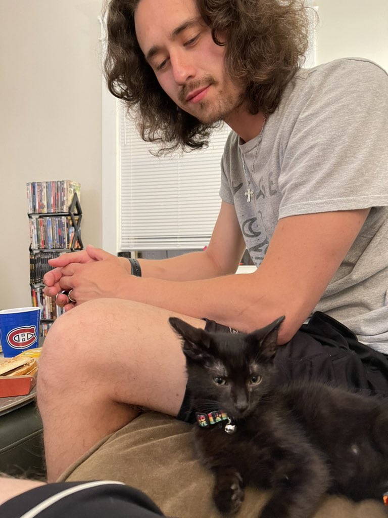 anthwol's tweet image. bonjour chat (sans nom pm)