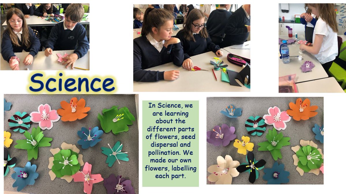 Kirsty Retallick (@ysgolnantgwyn) on Twitter photo 