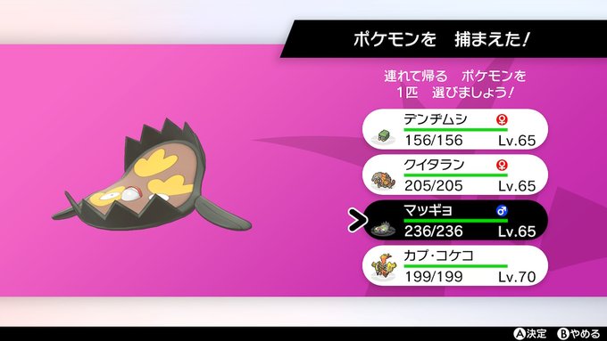 くろうさぎ 色粘りさん がハッシュタグ ポケモン をつけたツイート一覧 1 Whotwi グラフィカルtwitter分析 くろうさぎ 色粘りさん がハッシュタグ ポケモン をつけたツイート一覧 1 Whotwi グラフィカルtwitter分析