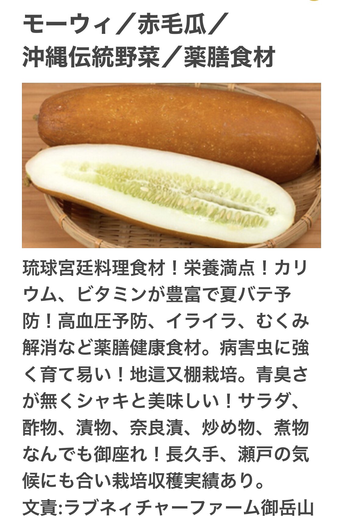 ラブネィチャーファーム御岳山 モーウィ苗ポット 8月 収穫 用 販売中 Jaあいち尾東 瀬戸グリーンセンター苗販売コーナー 年中無休 営業9時 18時 沖縄伝統野菜琉球王朝の宮廷料理に用いられていた サラダ 酢物 漬物 煮物 炒物何でも御座れ