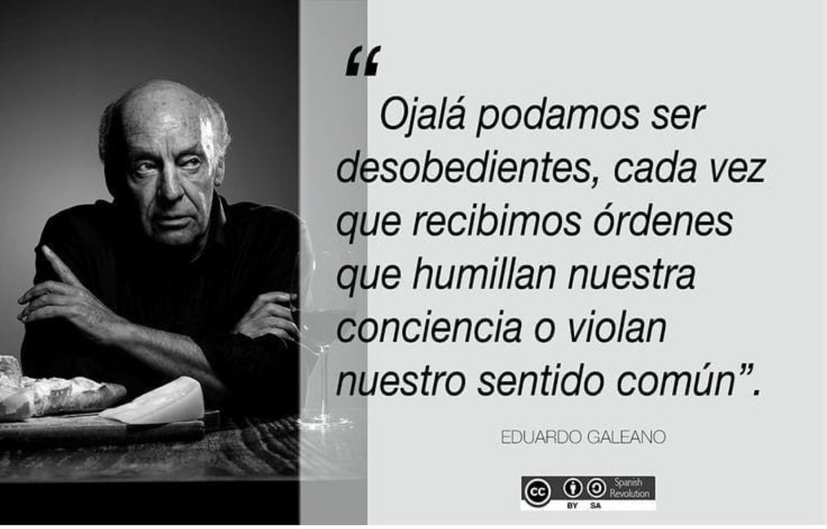 techconcatalina's tweet photo. “Si quieres estar equivocado, sigue a las masas”. - Sócrates 

#Bitcoin #Criptomonedas https://t.co/iWQ0qmwHqT