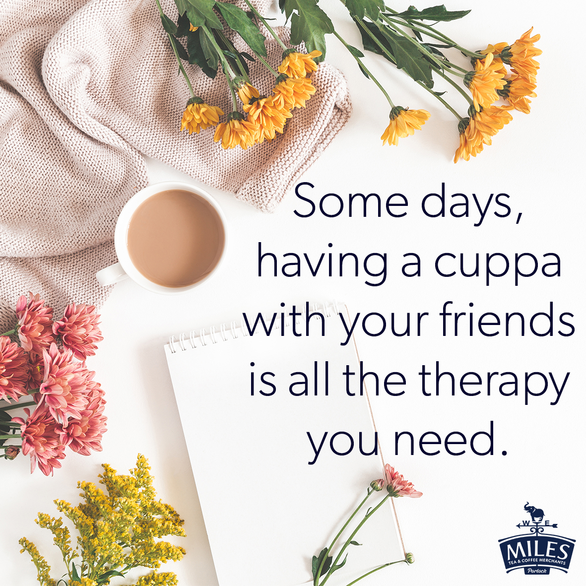 MilesTeaCoffee's tweet photo. Who are you sharing a cuppa with today?
#MomentswithMiles #MilesTea #Tea #Coffee #MilesCoffee #CoffeeBeans #GroundCoffee #HerbalTea #FruitTea #GreenTea #BlackTea #TeaLeaves #friends #WestCountry https://t.co/b7KsljwIVl