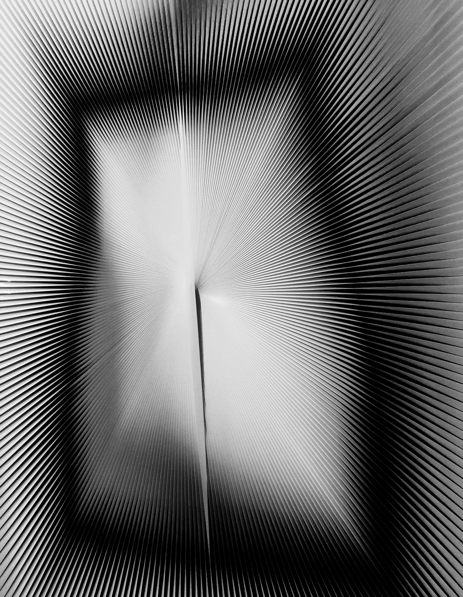 archillect tweet picture