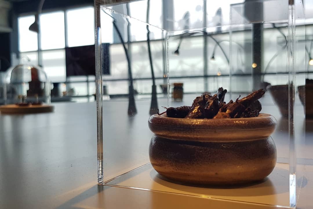 Cap Sciences tweet media