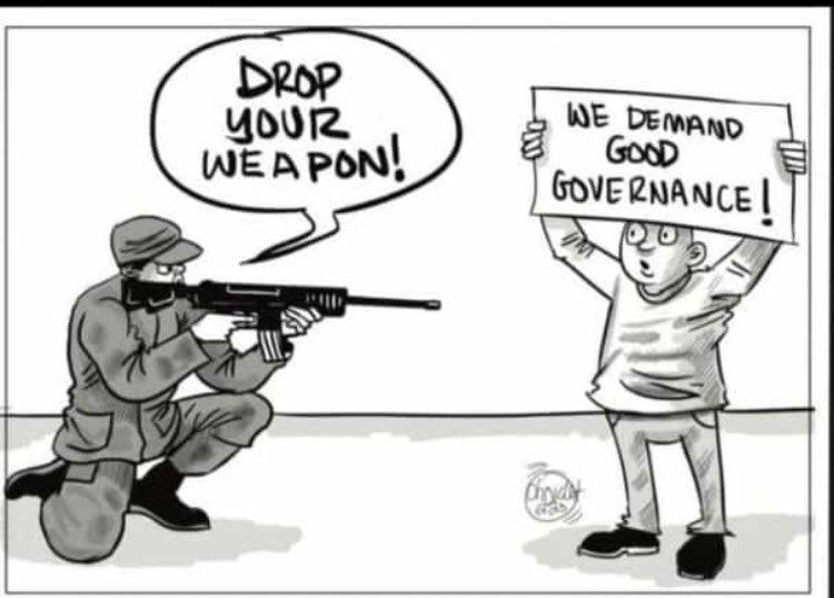 HAPPY tweet media