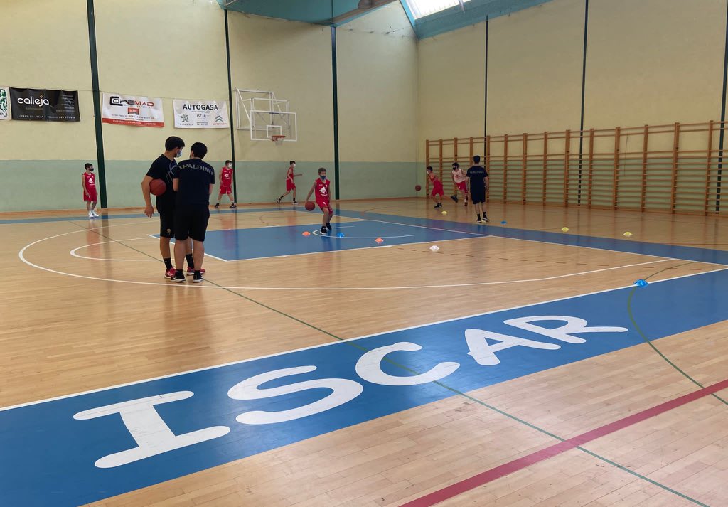 FBCyL's tweet photo. Nuestras Selecciones Minis se desplazan este fin de semana a Iscar (Valladolid) a seguir  la preparación de cara al Campeonato de España ⛹️‍♀️⛹️‍♂️

Jornada de entrenamientos el sábado y partidos el domingo contra @FBMadrid https://t.co/60WAEhRWNF