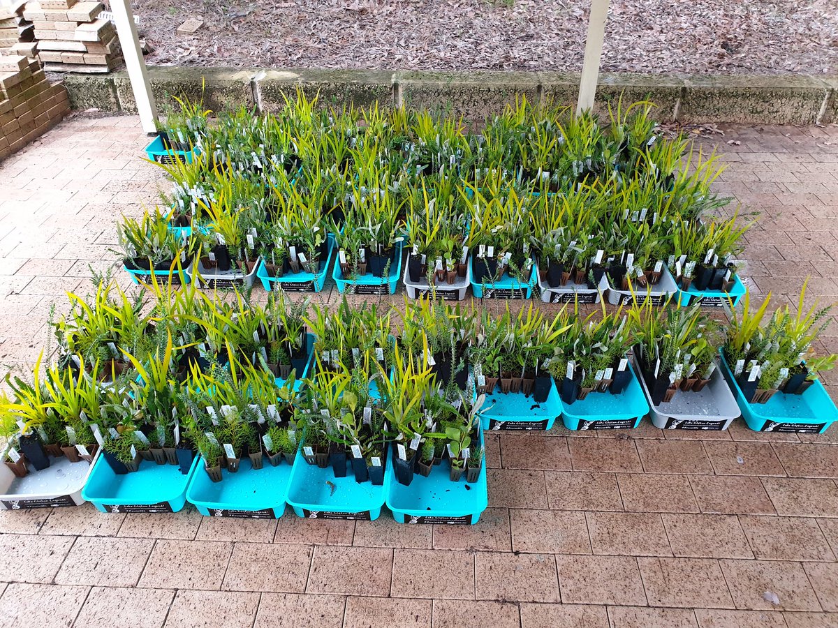 Mike_PHCC tweet media