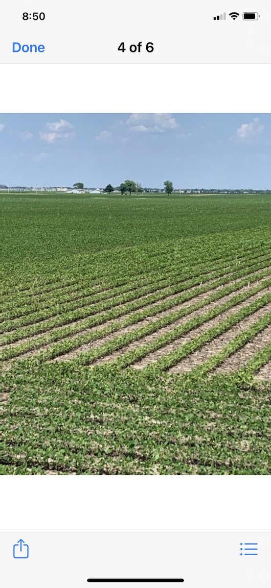 dkopp52's tweet photo. Visual difference’s on corn with Inno Boost C and Inno Boost SB on soybeans 🌽🌽🌱🌱 https://t.co/o3pSENubjz