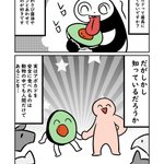 人間以外の動物にとってアボカドは危険な食べ物？!ペット、特に鳥を飼っている人は知っておきたいお話