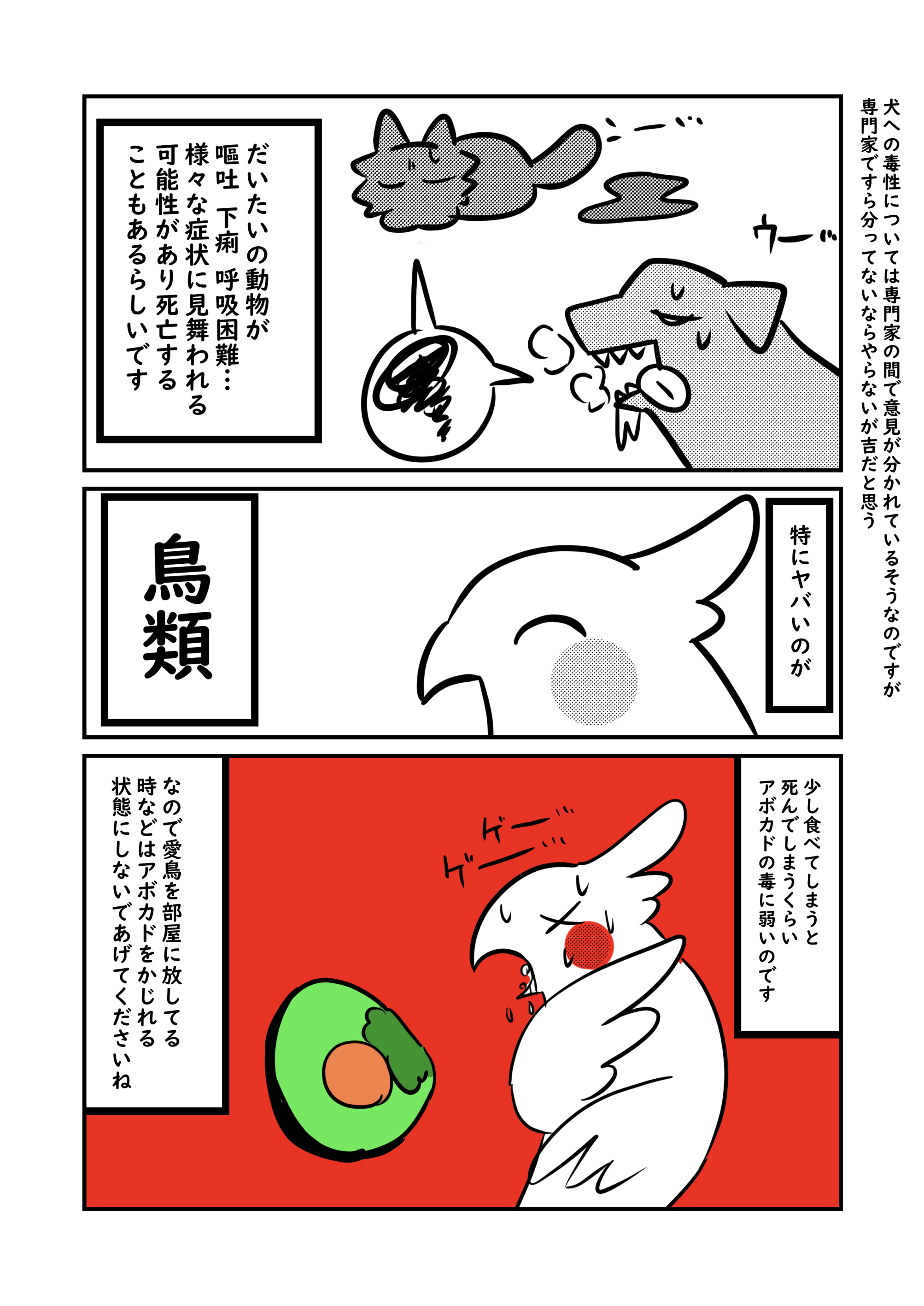 ぬら次郎 お仕事募集中 ペットを飼っている人ほど知っておいて欲しい アボカド のお話 特に鳥を飼っている方は見て欲しいです T Co G1qtp2hll8 Twitter