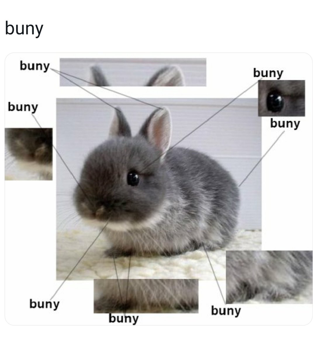 sunghoonthink's tweet photo. buny 🐰 https://t.co/mjd1hLE5GL