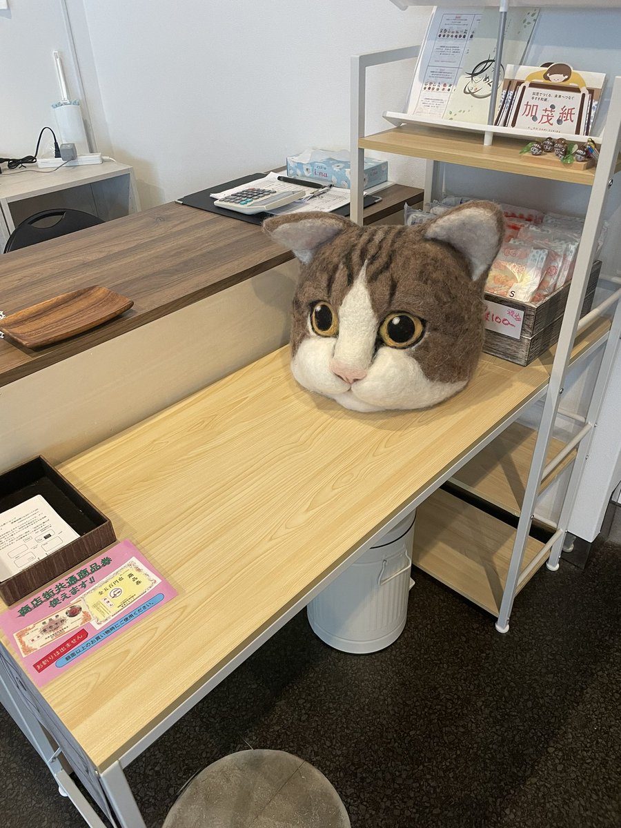 asuka_namizuka's tweet photo. ワイ「この猫なんですか？」
ボス「貰った！」
ワイ「置いておくんですか？？」
ボス「被るんだよ」
ワイ「」

#こいて #koite https://t.co/xqDgBGAvdW