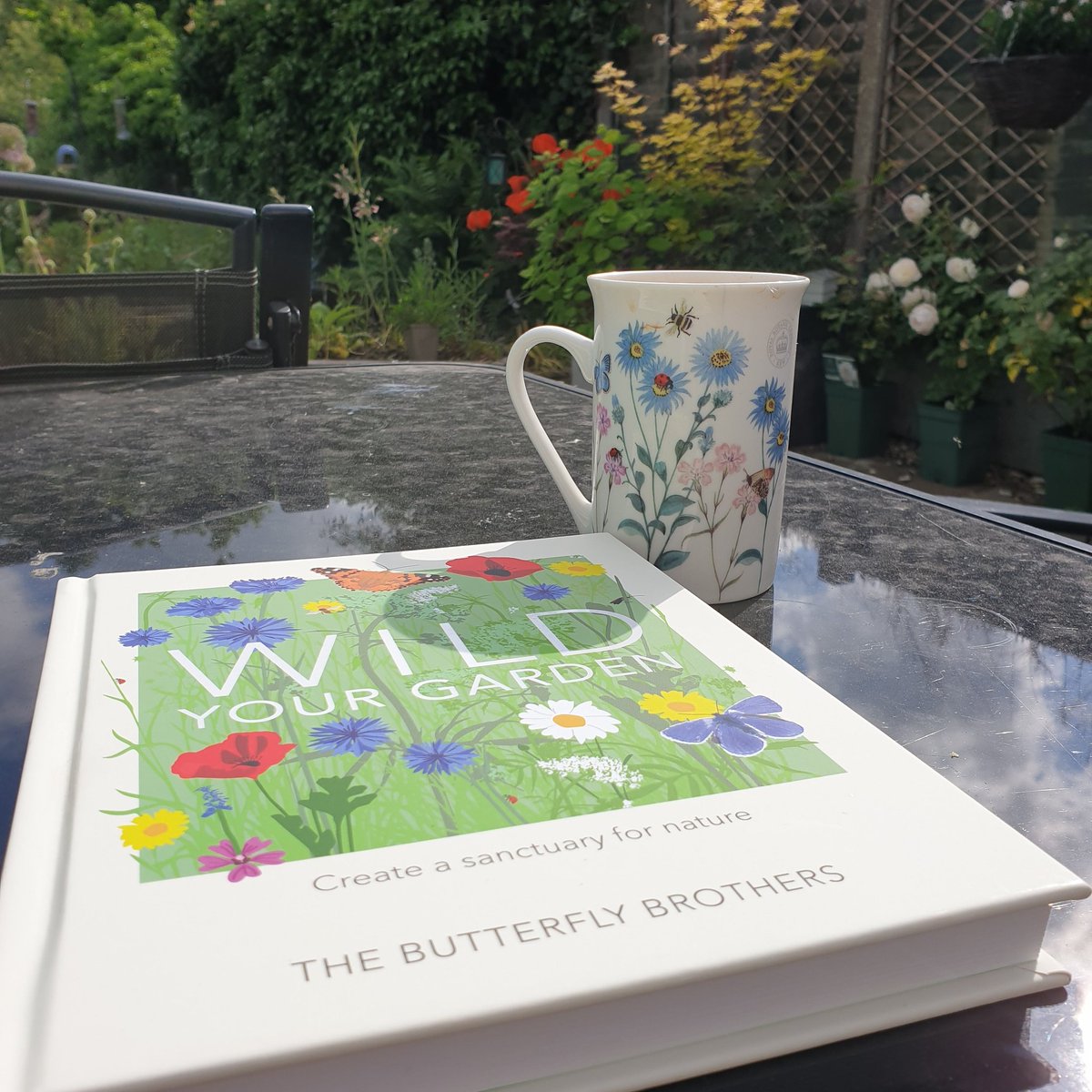 CollinsYvonne's tweet photo. Morning coffee in the sunshine with a lovely new book 😊🐝🌻 @_joelashton @wildyourgarden https://t.co/ieZcJE44Tt