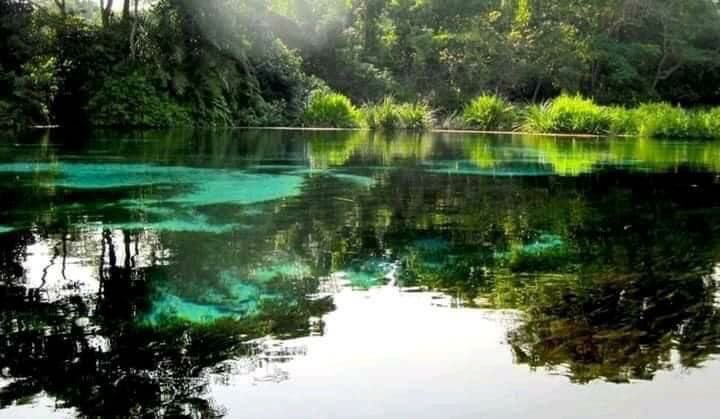 Lac Fwa