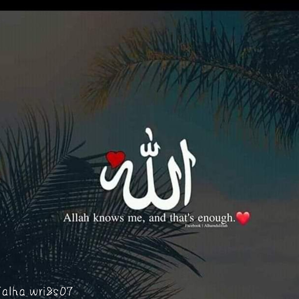 Shayari | India on Twitter: