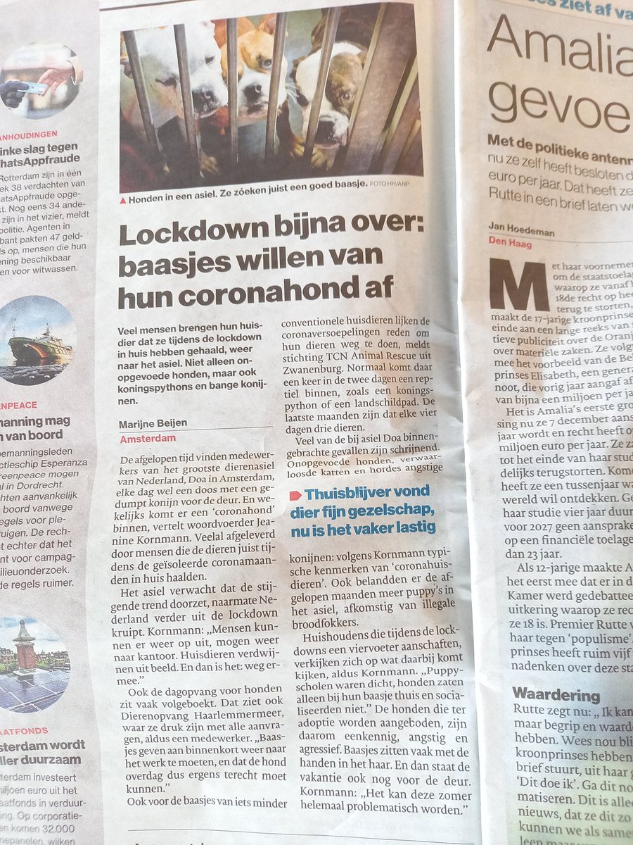 TRIEST!!
In HET land waar (bijna) iedereen vindt dat boeren slecht met hun dieren omgaan, dat IEDEREEN weet hoe het moet, hoe boerderij dieren gehouden moeten worden..
Waar dieren bijna belangrijker worden dan mensen..
Ja, deze mensen doen ZELF dit!!
#boerentrots #trotsopNLboeren