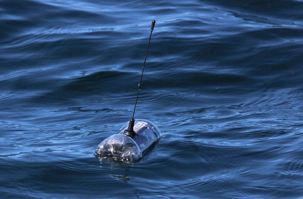 Al2kA's tweet photo. Anyone with a good camera may gatch a glimse of this plastic bottle we're tracking near Warren Point. Heading straight for it (11:00am Sat 12th). Send us a photo if you do! https://t.co/Dx56S8iqr5 #ListenToTheOcean @HeatherKoldewey @BrendanGodley @OfficialZSL https://t.co/bhkSrh6DzM