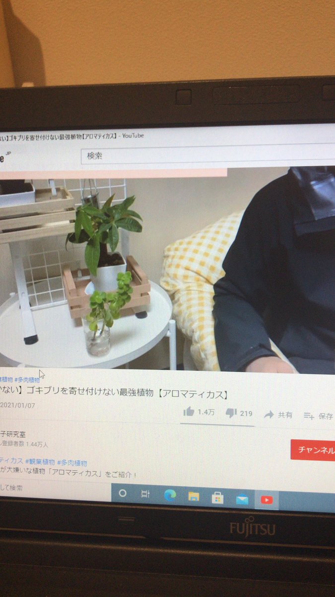 ゴキブリ嫌いなら必見ですのtwitterリアルタイム検索結果 Meyou ミーユー ゴキブリ嫌いなら必見ですのtwitterリアルタイム検索結果 Meyou ミーユー