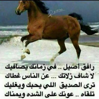 🌷راقت لي🌷