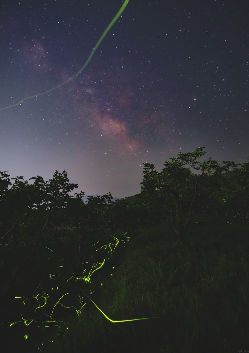 しゃふ 星空好き 夏の天の川の下で この日の夜は貴重な晴れ間となり 夏の天の川流れる星空の下でホタルたちが短い宴を楽しんでいました 21 6 8 天の川 星空 星景写真 ホタル