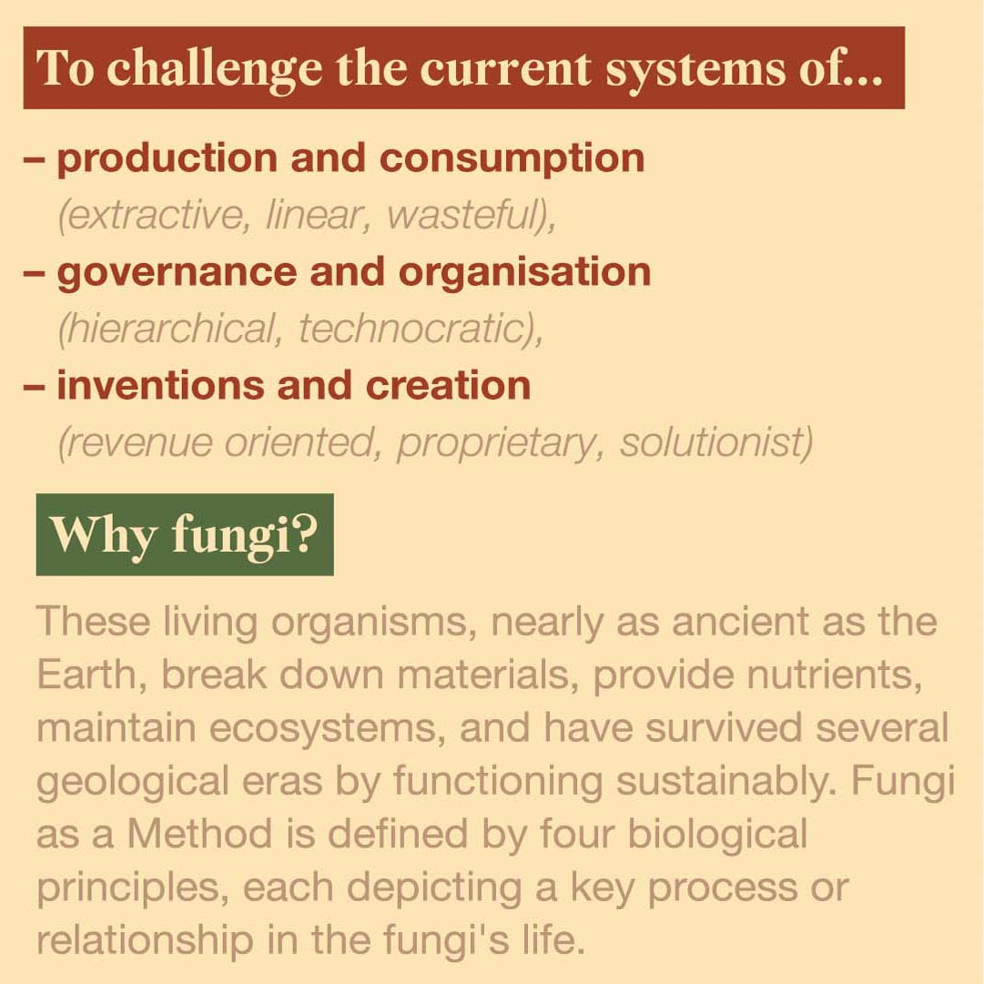 Our first workshop is happening next Thursday as part of #CEWeekLDN! 🍄 Second one on 06.07 as part of #LCAW2021. Links to book are in our bio. ☝️ 

Here is some background: Fungi is a methodology proposing new ways of thinking based on non-human strategies. More revealed soon!