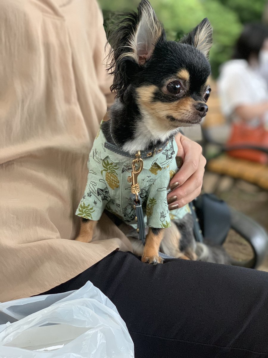 06Uniuni's tweet photo. 井の頭公園🍺 https://t.co/eg5fF6BowJ