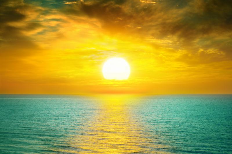 saisonshingham's tweet photo. 10 tips from Saisons' Experts. Details inside sunset. https://t.co/7vc9FZ3CPw https://t.co/N41dkZGWhb https://t.co/7XHv2fir7j