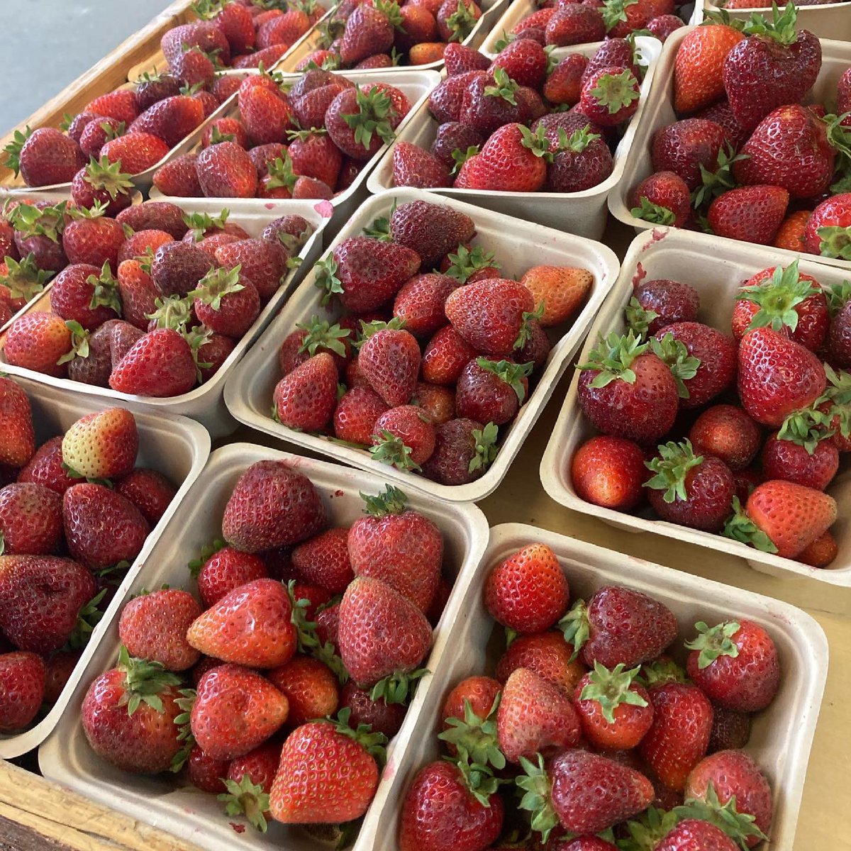 StrathconaMrkt tweet picture