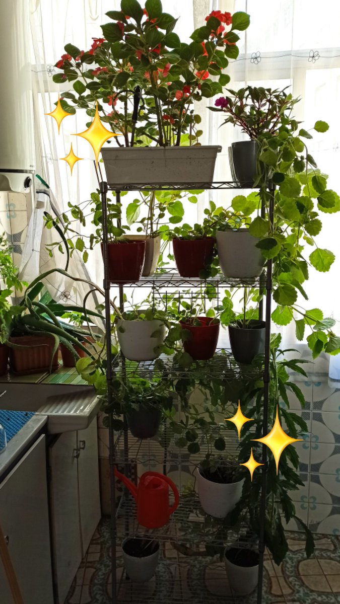 Pilotwings tweet media