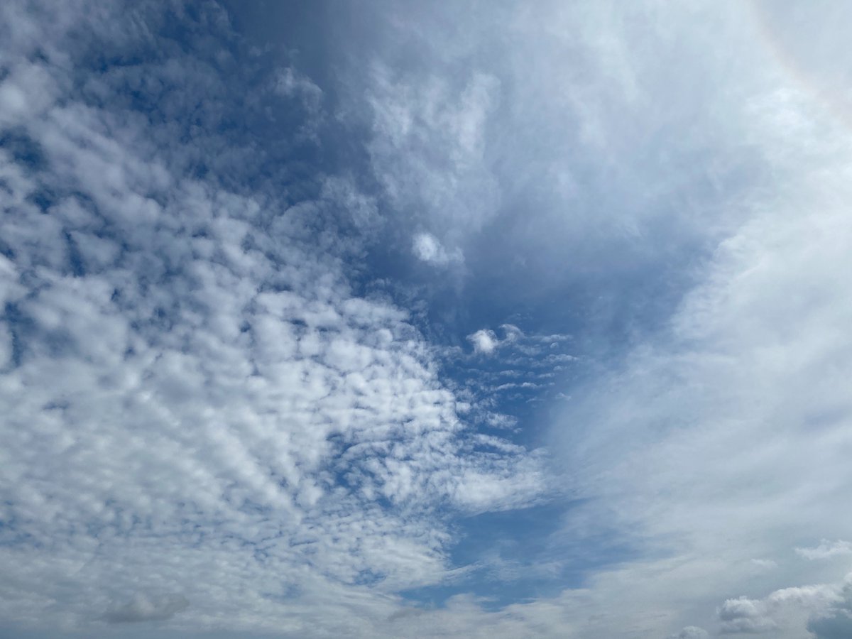 matirderingo's tweet photo. 今朝の空。2021.6月12日
まるで顔のような空を眺めてて今日も一日頑張った
区切りがあるとまた立ち止まることも必要だと考えたりしたりする
月日が過ぎるのは本当にはやい。
明日もまた頑張らねば https://t.co/pHbrVt2NSh
