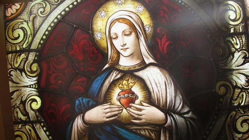 Immaculate Heart of Mary, pray for us.