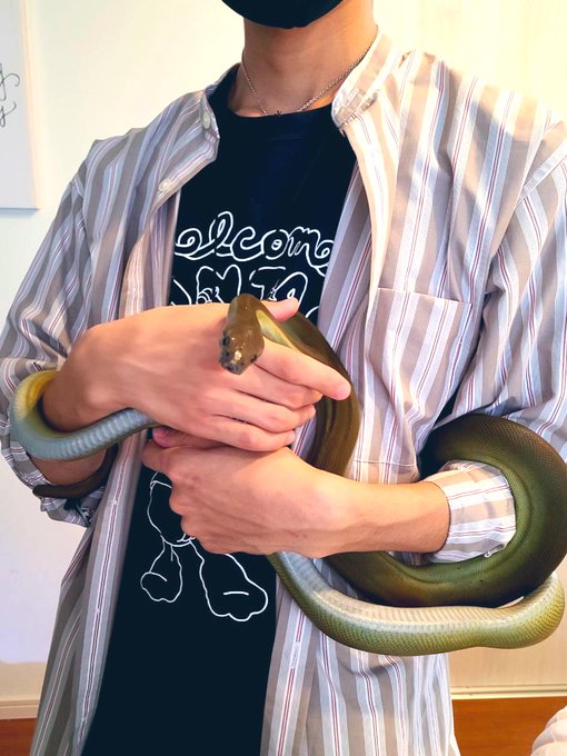 蛇 高画質 のtwitterイラスト検索結果 古い順 蛇 高画質 のtwitterイラスト検索結果 古い順